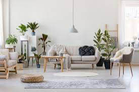 Home & Lifestyle